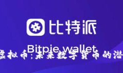 探索SVP虚拟币：未来数字货币的潜力与挑战