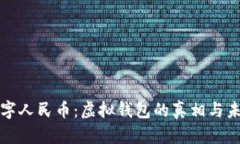 数字人民币：虚拟钱包的