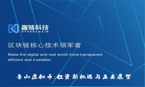 鲁山虚拟币：投资新机遇与未来展望