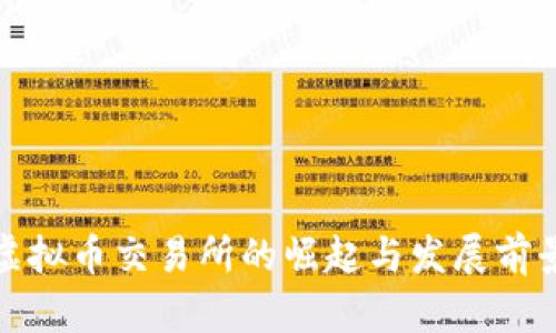 加纳虚拟币交易所的崛起与发展前景分析