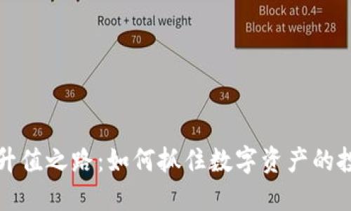 虚拟币升值之路：如何抓住数字资产的投资机会