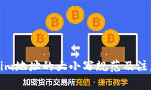 Tokenim地址的大小写规范及注意事项