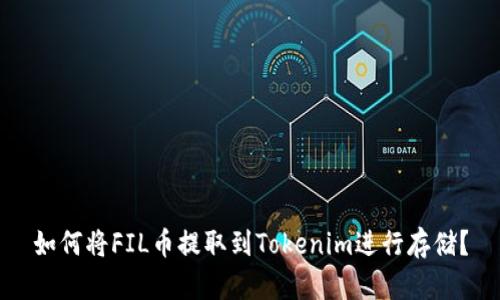 如何将FIL币提取到Tokenim进行存储？